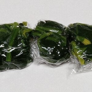 小松菜の冷凍